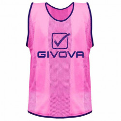 Манишка Givova Сasacca Рro CT01-1 (розовая)