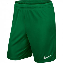 Шорты игровые Nike Park II Knit 725887-302 зеленые