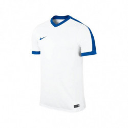 Футболка игровая Nike Striker IV 725892-100 белая с синим