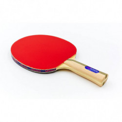 Ракетка для настольного тенниса BUTTERFLY 16310