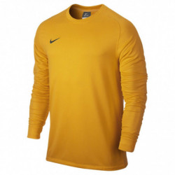 Вратарская кофта NIKE PARK GOALIE II JSY 588418-739