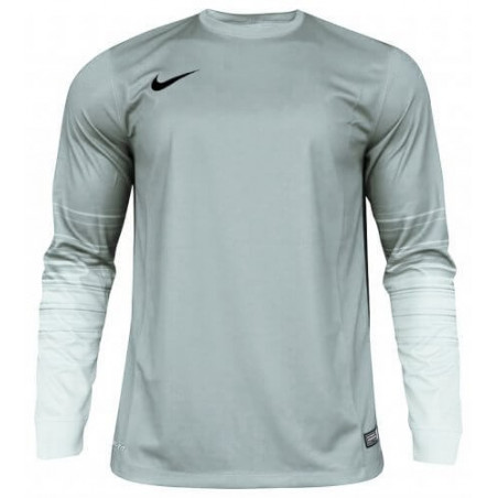 Вратарская кофта Nike CLUB GEN LS GK  678164-043