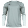 Вратарская кофта Nike CLUB GEN LS GK  678164-043