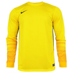Вратарская кофта Nike CLUB GEN LS GK  678164-775