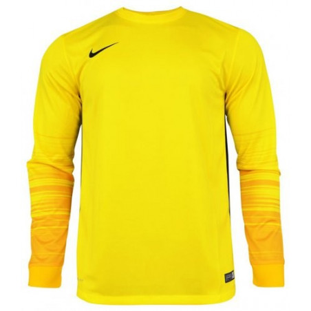 Вратарская кофта Nike CLUB GEN LS GK  678164-775