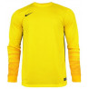 Вратарская кофта Nike CLUB GEN LS GK  678164-775