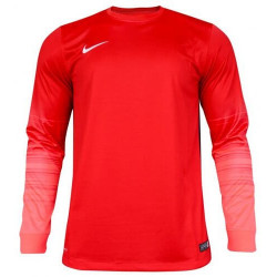 Вратарская кофта Nike CLUB GEN LS GK  678164-605