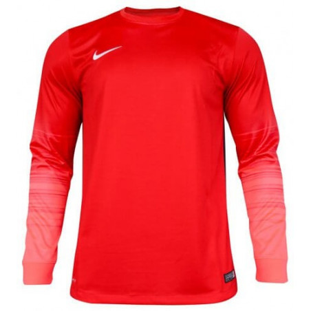 Вратарская кофта Nike CLUB GEN LS GK  678164-605