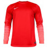 Вратарская кофта Nike CLUB GEN LS GK  678164-605
