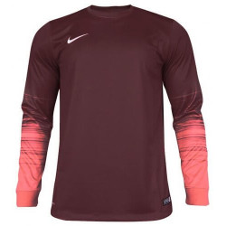 Вратарская кофта Nike CLUB GEN LS GK  678164-634