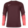 Вратарская кофта Nike CLUB GEN LS GK  678164-634