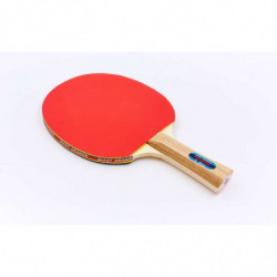 Ракетка для настольного тенниса GD ENERGY