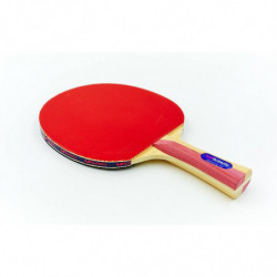 Ракетка для настольного тенниса BUTTERFLY 16320