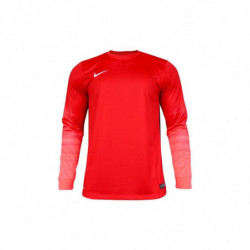 Вратарская кофта Nike CLUB GEN LS GK  678164-605