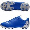 Детские Футбольные бутсы Nike JR Vapor 12 Academy  MG AH7347-400