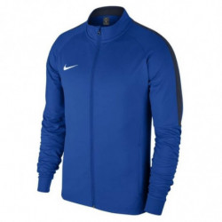 Джемпер тренировочный Nike Academy 18 Track 893701-463