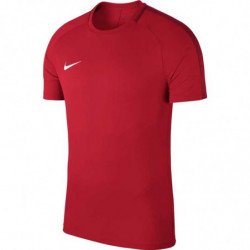 Футболка Nike Dry Academy 18  893693-657