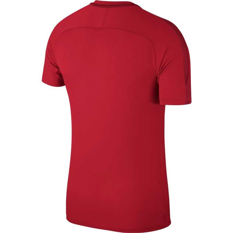 Футболка Nike Dry Academy 18  893693-657