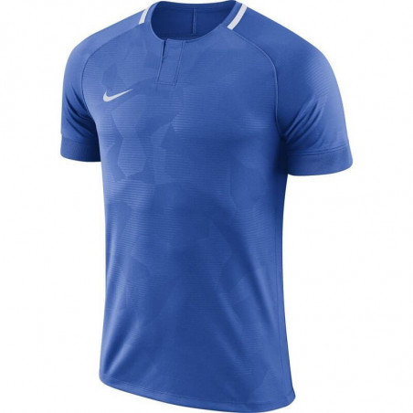 Футболка детская NIKE DRY CHALLENGE II JERSEY 894053-463