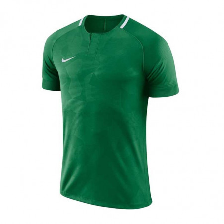 Футболка игровая Nike Dry Challenge II 893964-341