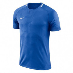 Футболка игровая Nike Dry Challenge II 893964-463