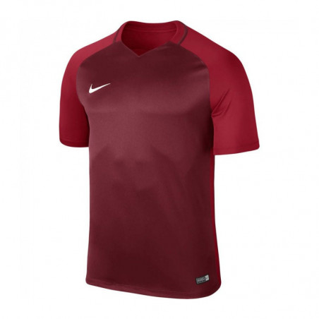 Футболка игровая Nike Dry Trophy III Jersey T-shirt 881483-677