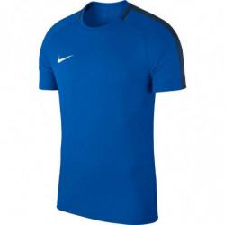 Футболка Nike Dry Academy 18  893693-463