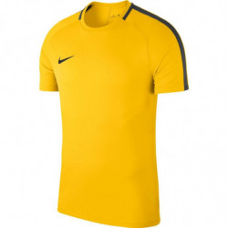 Футболка Nike Dry Academy 18  893693-719