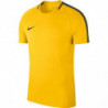 Футболка Nike Dry Academy 18  893693-719