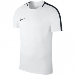 Футболка детская Nike JR Academy 18 T-Shirt 893750-100