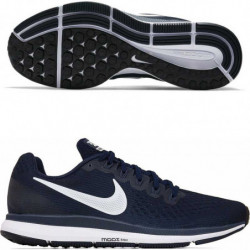 Кроссовки Nike Air Zoom Pegasus 34 880555-401