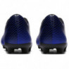 Бутсы Nike Bravata CLUB II FG 844436-400