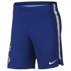 Шорты Nike CHELSEA DRY SQD SHORT 919894-496