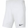 Шорты игровые NIKE PARK III KNIT BV6855-100
