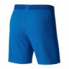 Шорти ігрові Nike VaporKnit II Short  AQ2685-463