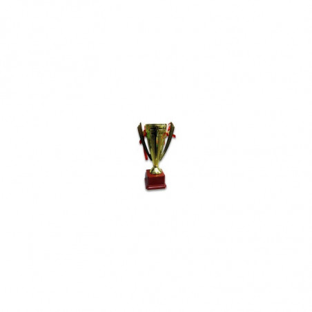 Кубок спортивный с ручками REWARD
