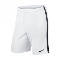 Шорты игровые NIKE League Knit Short 725881-100 белые