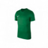 Футболка тренировочная Nike Dry Park 18 SS Top AA2046-302 зеленая