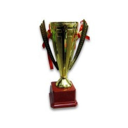 Кубок спортивный с ручками REWARD