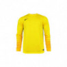 Вратарская кофта Nike CLUB GEN LS GK  678164-775