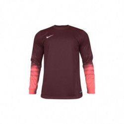 Вратарская кофта Nike CLUB GEN LS GK  678164-634