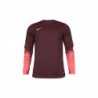 Вратарская кофта Nike CLUB GEN LS GK  678164-634